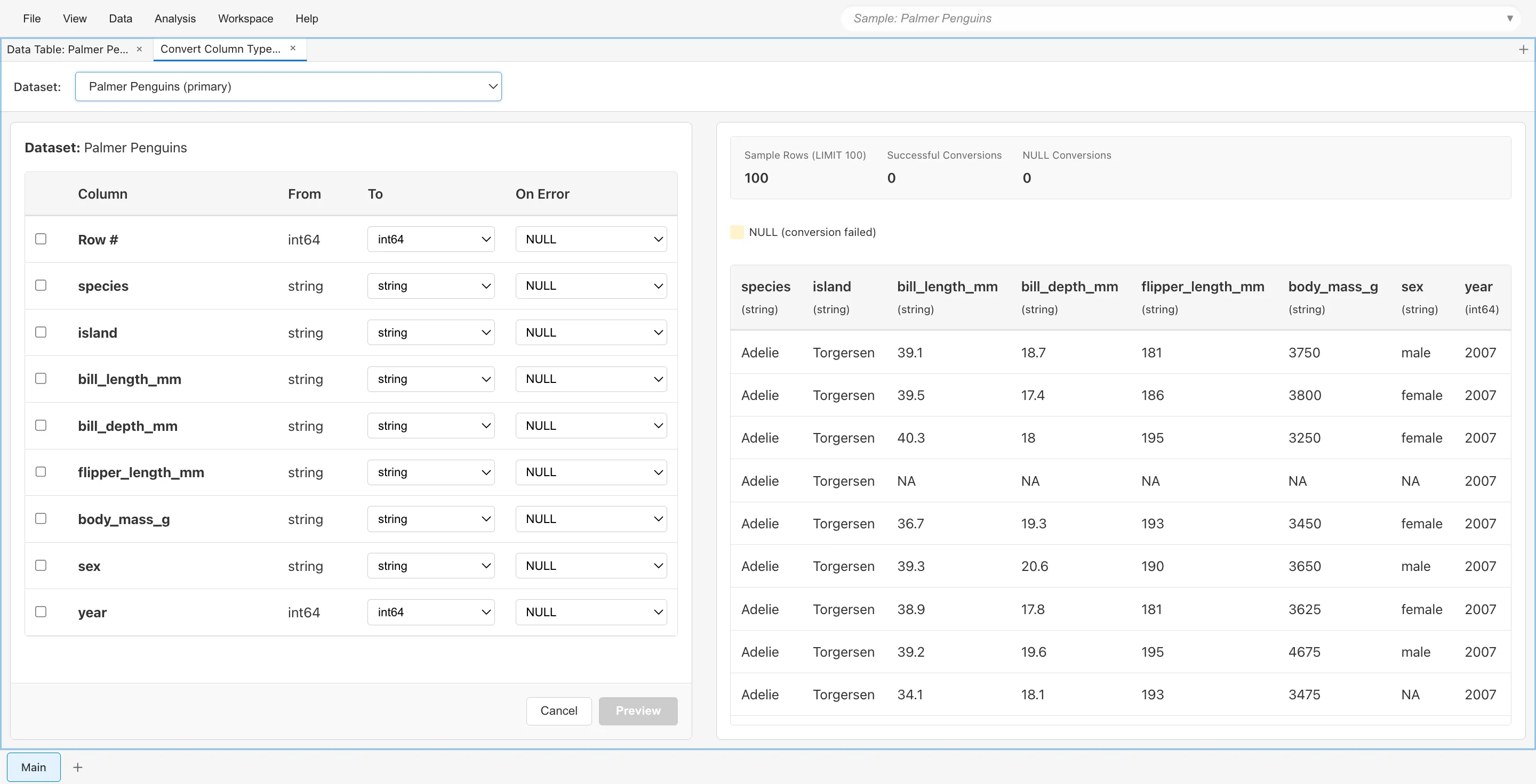 Type conversion settings