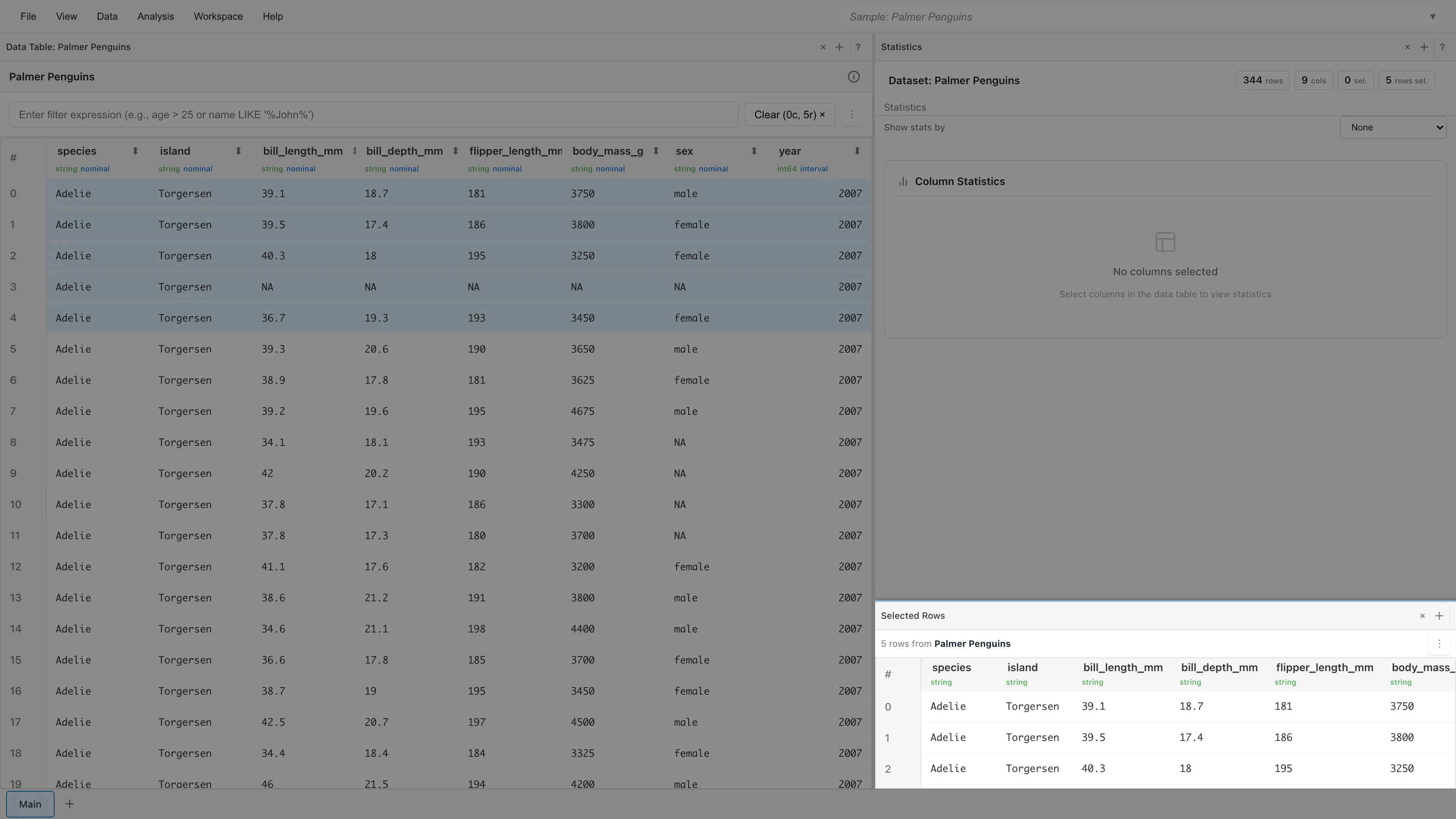Data Table で行を選択すると Selected Rows タブに表示される