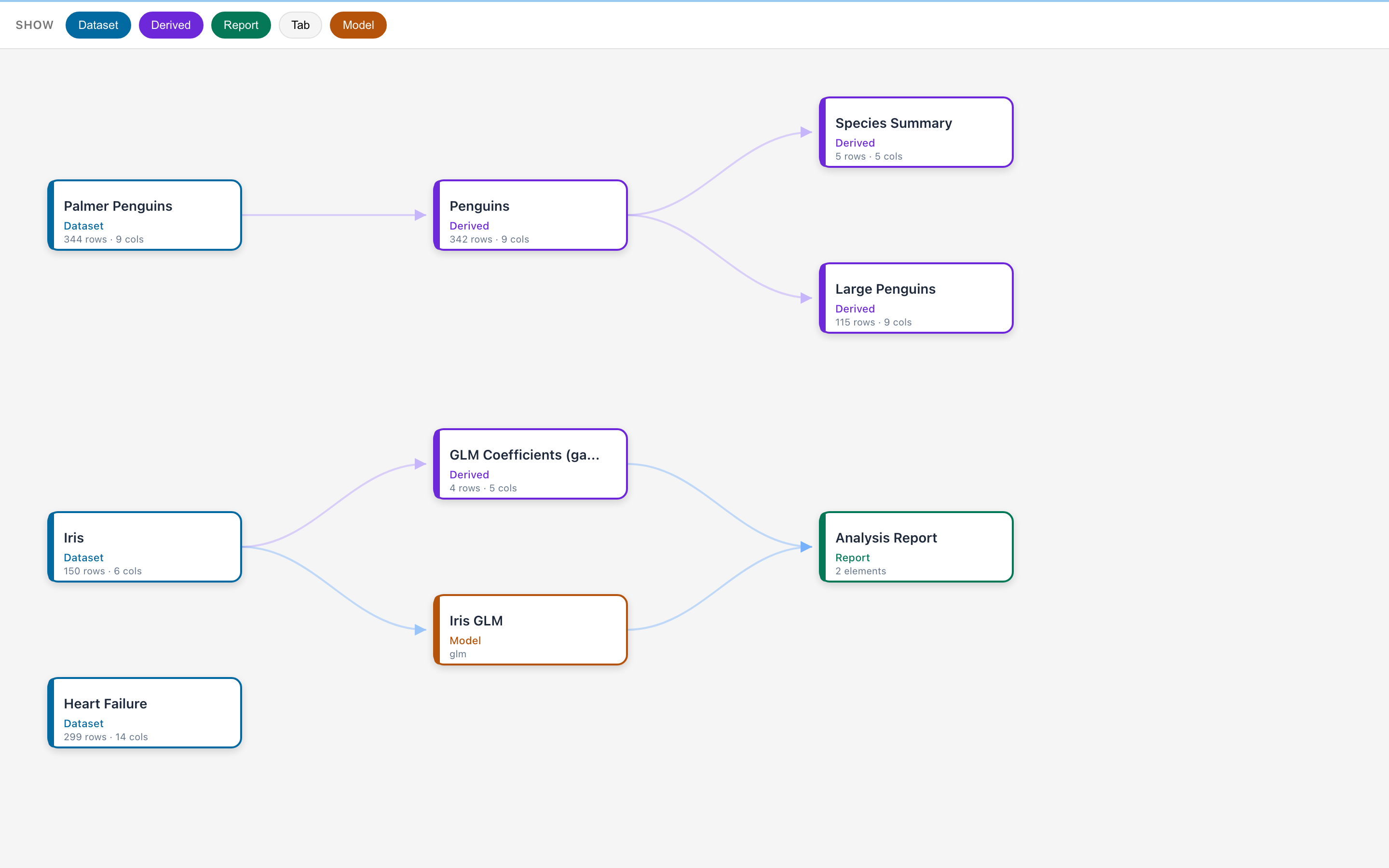 Project Lineage DAG showing datasets, derived tables, models, and reports with dependency edges
